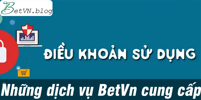 Những dịch vụ chúng tôi cung cấp