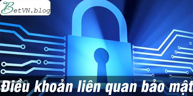 Một số điều khoản liên quan trong chính sách bảo mật 