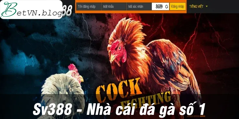 Sv388 - Nhà cái đá gà uy tín số 1